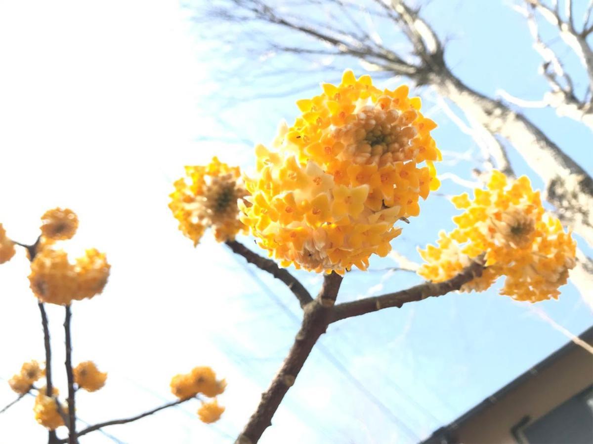 Yufuin Flora House Bed & Breakfast Exterior foto